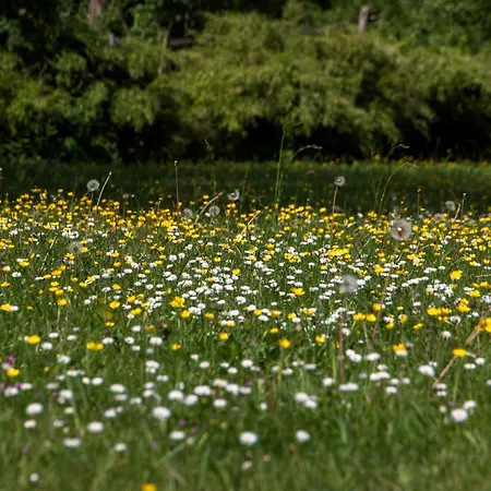 Gaestehaus Am Lausitzring