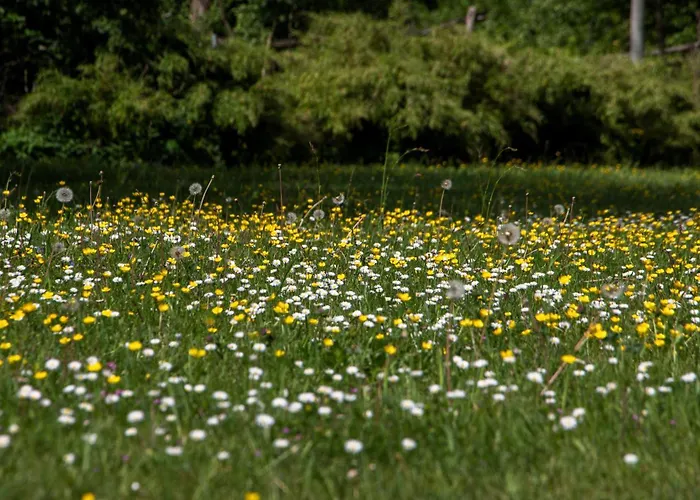 Gaestehaus Am Lausitzring
